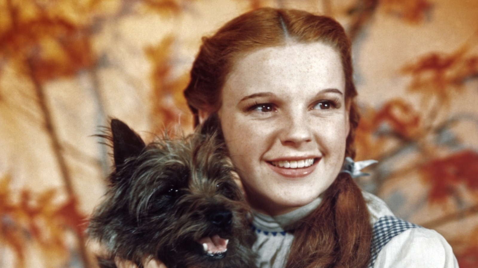Judy Garland mezcló su ensalada a la antigua usanza (no se requieren herramientas)