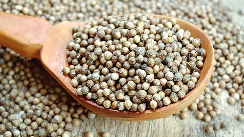 Cerca de semillas de cilantro en una cuchara de madera