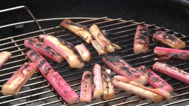 Trozos de ruibarbo asados ​​y carbonizados sentados en una parrilla de carbón