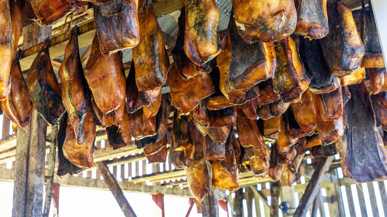 Trozos de carne de tiburón fermentada de color marrón amarillento, colgados de madera para secar al aire