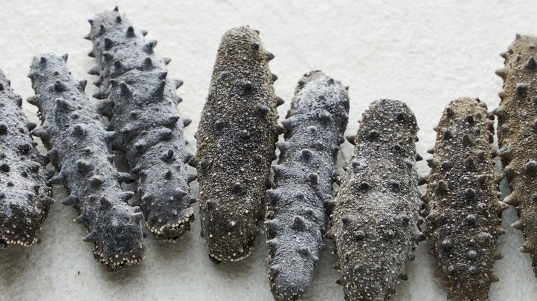Pepinos de mar secos