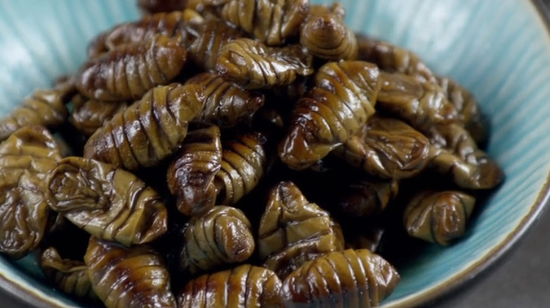 Ingredientes extraños en Food Network "Picado" pupa de gusano de seda