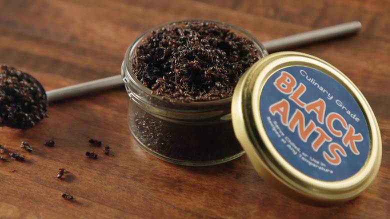 Hormigas negras de calidad culinaria 