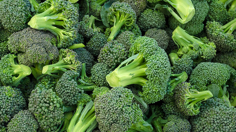brócoli