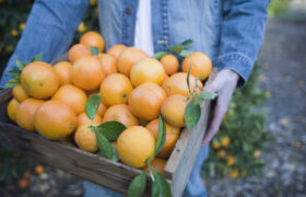 4 alimentos que tienen más vitamina C que las naranjas