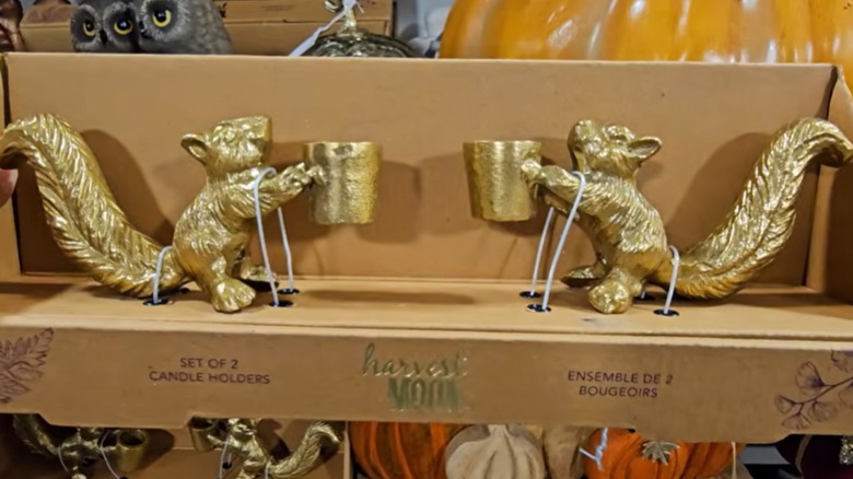 Juego de soportes cónicos dorados con forma de ardilla en caja