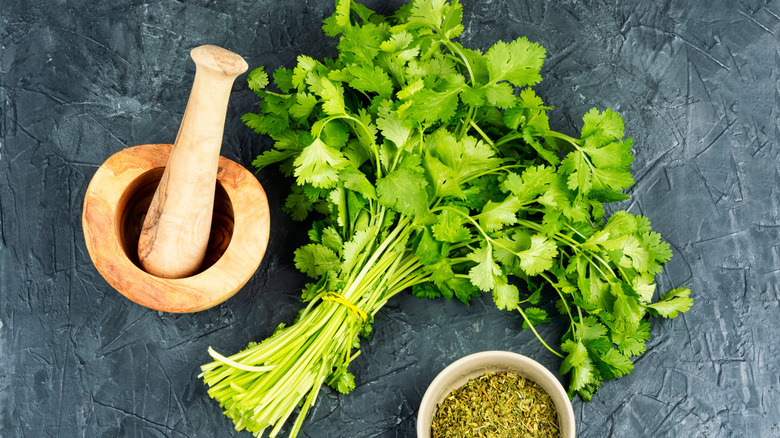 Cilantro fresco, mortero y semillas de cilantro