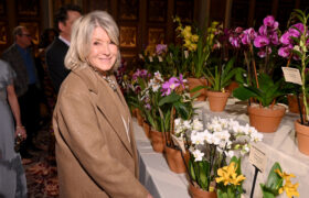 El método sencillo de Martha Stewart para preparar huevos escalfados