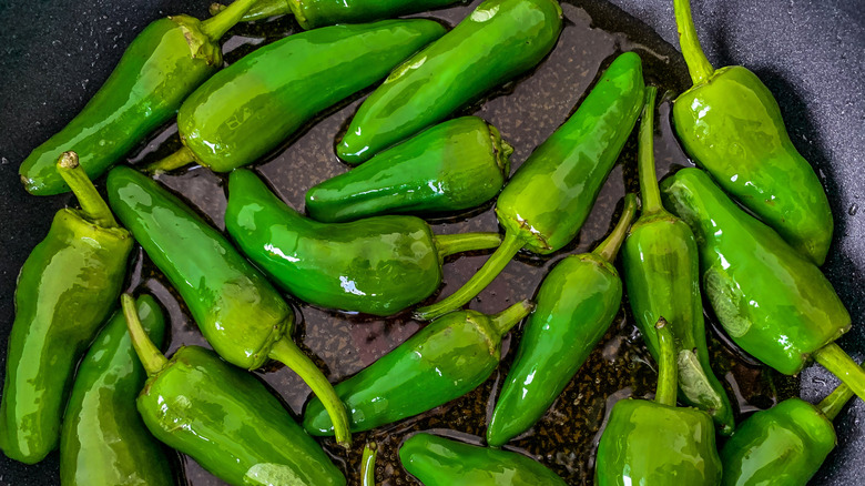 Jalapeño asado en una sartén