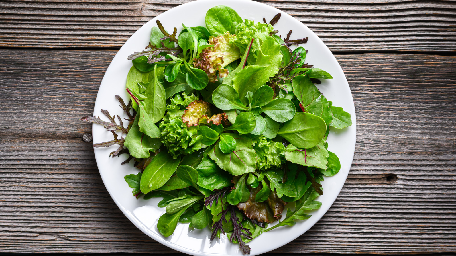 Lechuga hidropónica frente a lechuga normal: ¿cuál es la diferencia?