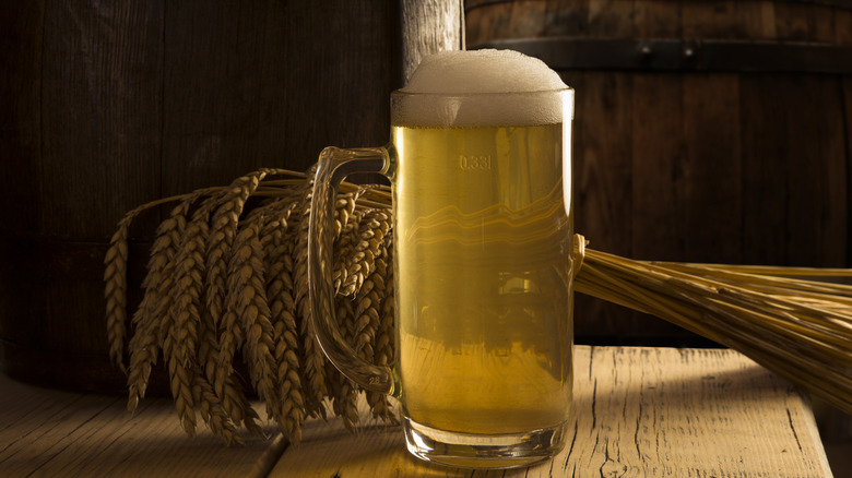 Vaso de cerveza con una vaina de trigo y barriles de cerveza al fondo