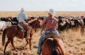 Los vaqueros comieron este refrigerio estilo retro de pan de maíz en el camino