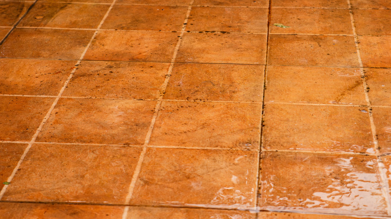 Piso de baldosas de terracota húmedo