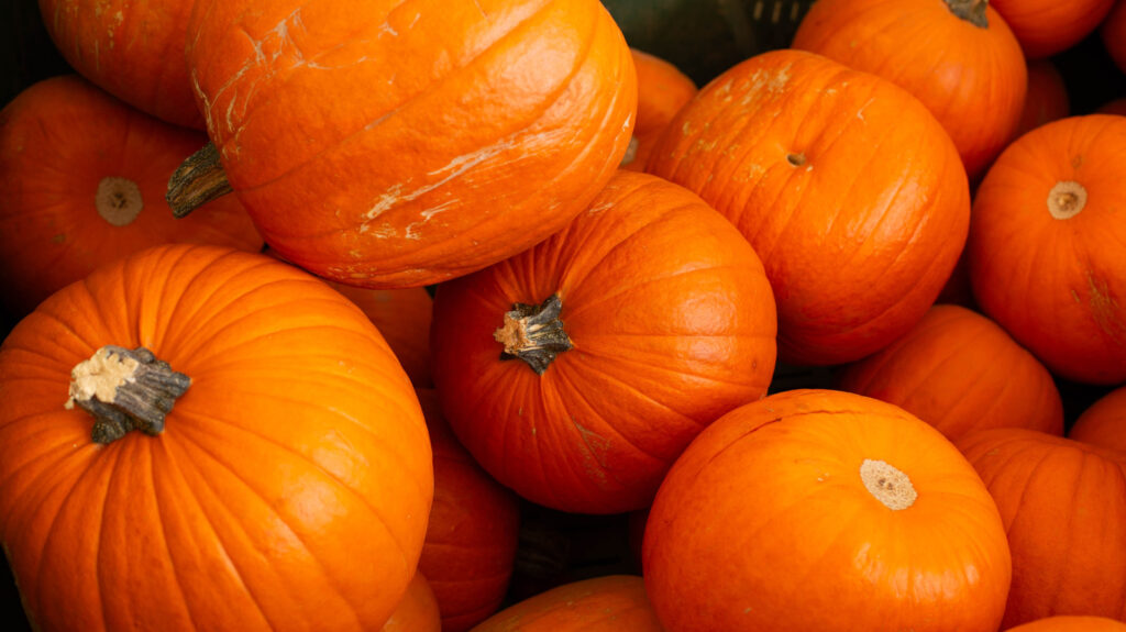 Deshazte del horno y consigue tu dosis de calabaza con estos bocados sin hornear