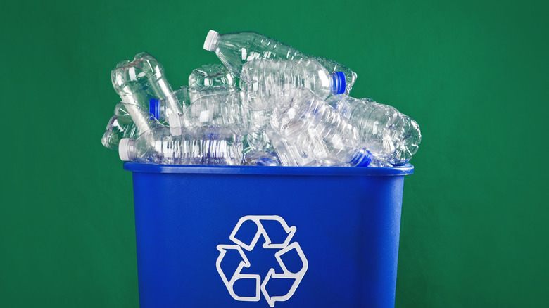 Papelera de reciclaje llena de botellas de plástico