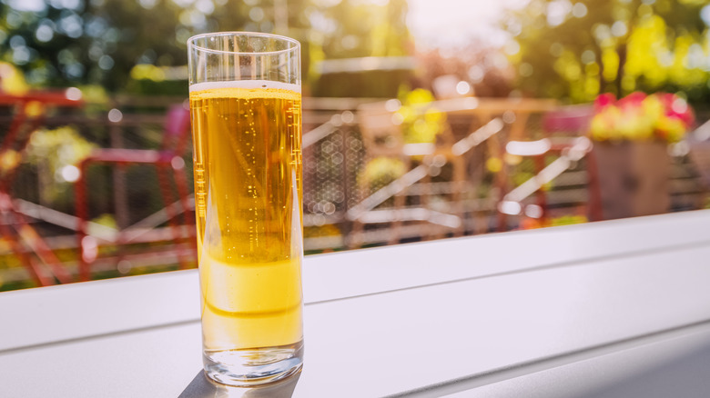 Un vaso alto y delgado de cerveza sobre una mesa al aire libre con plantas al fondo