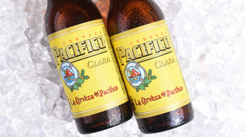 Dos botellas de Pacifico sobre hielo.