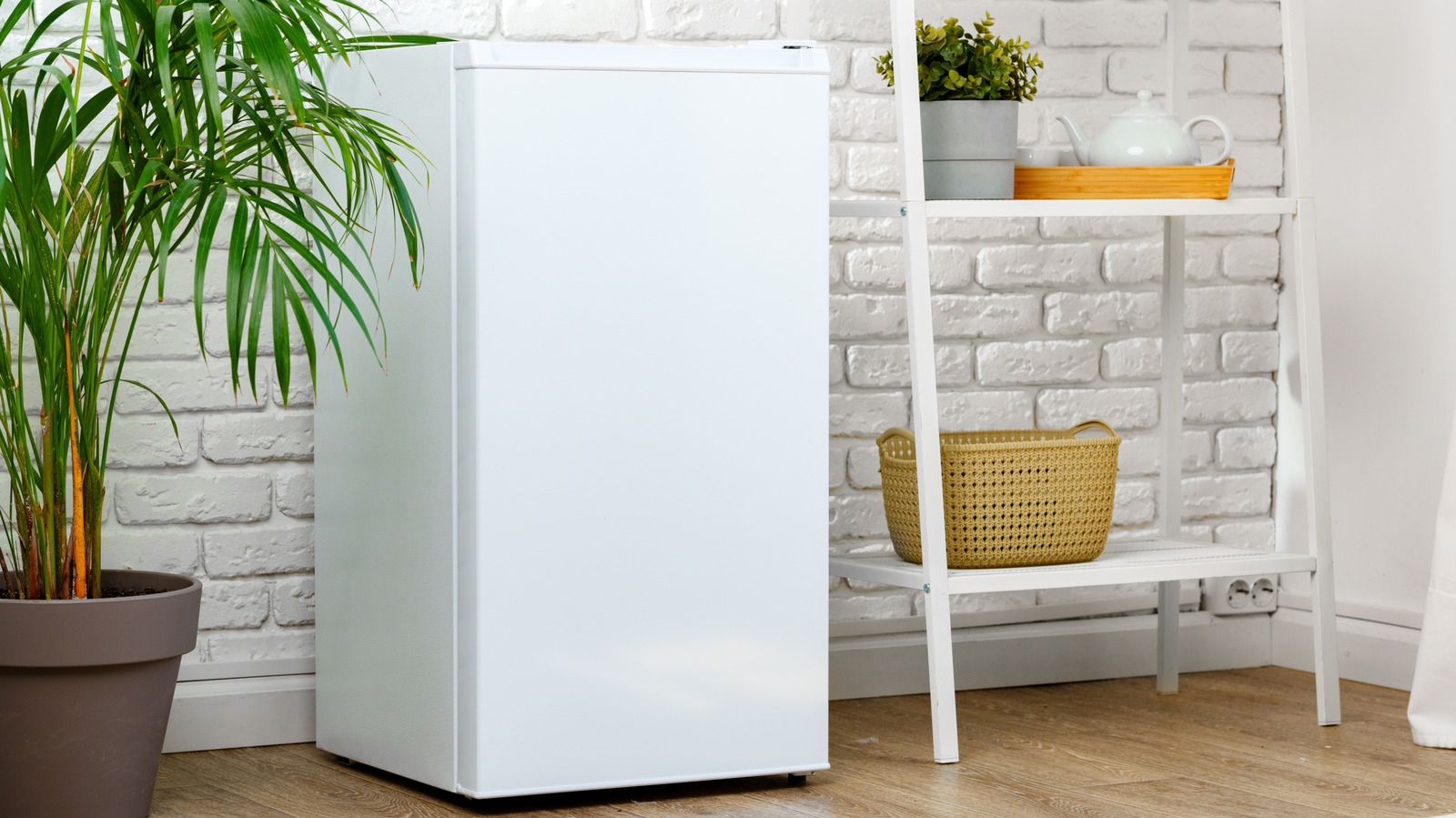 El mejor minirrefrigerador para la temporada de dormitorios de 2026, según Consumer Reports