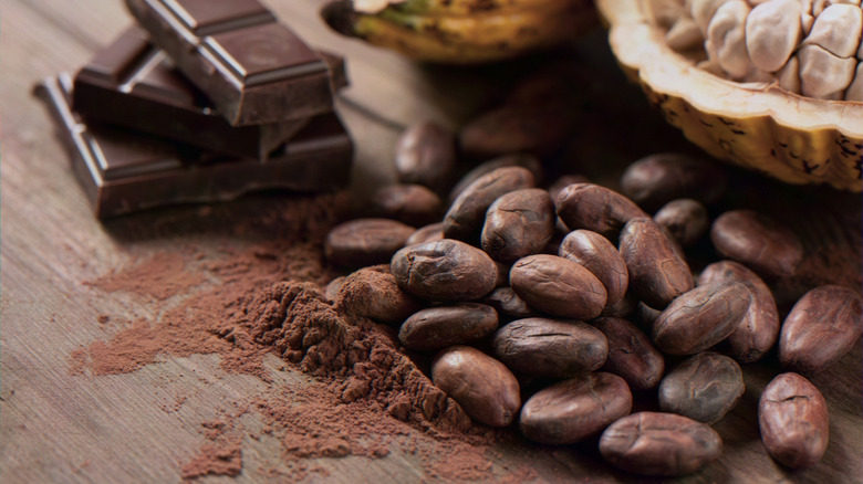 Primer plano de granos de cacao junto a fruta fresca de cacao y barra de chocolate