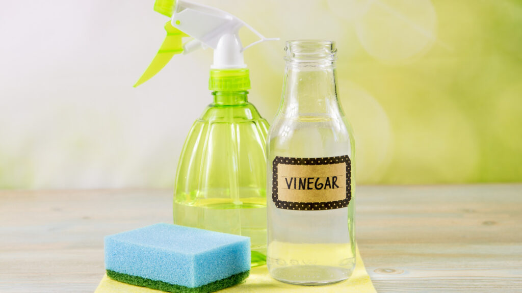 5 electrodomésticos de cocina para limpiar con vinagre blanco