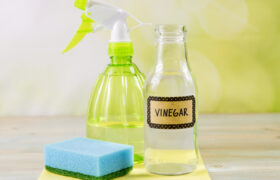 5 electrodomésticos de cocina para limpiar con vinagre blanco