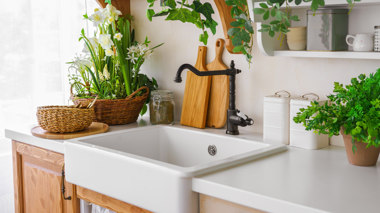 Lavabo blanco con accesorios negros, rodeado de plantas.