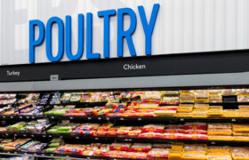 El vacío legal detrás del pollo ‘fresco’ que los estadounidenses compran todos los días