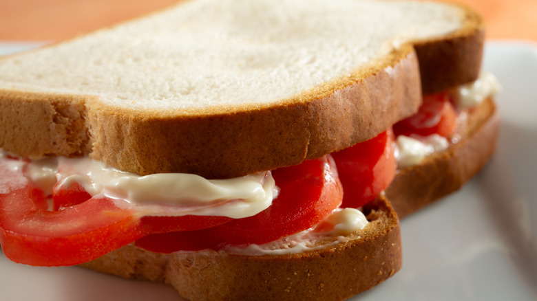 Primer plano de un sándwich de queso con tomate sobre pan blanco sin gluten