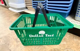 8 artículos de almacenamiento de cocina de Dollar Tree que no vale la pena comprar