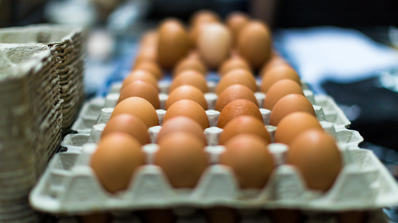 Huevos marrones en un cartón