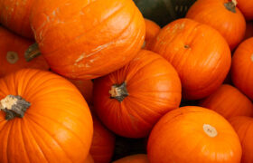 La calabaza es 10 veces más sabrosa cuando se combina con este chocolate