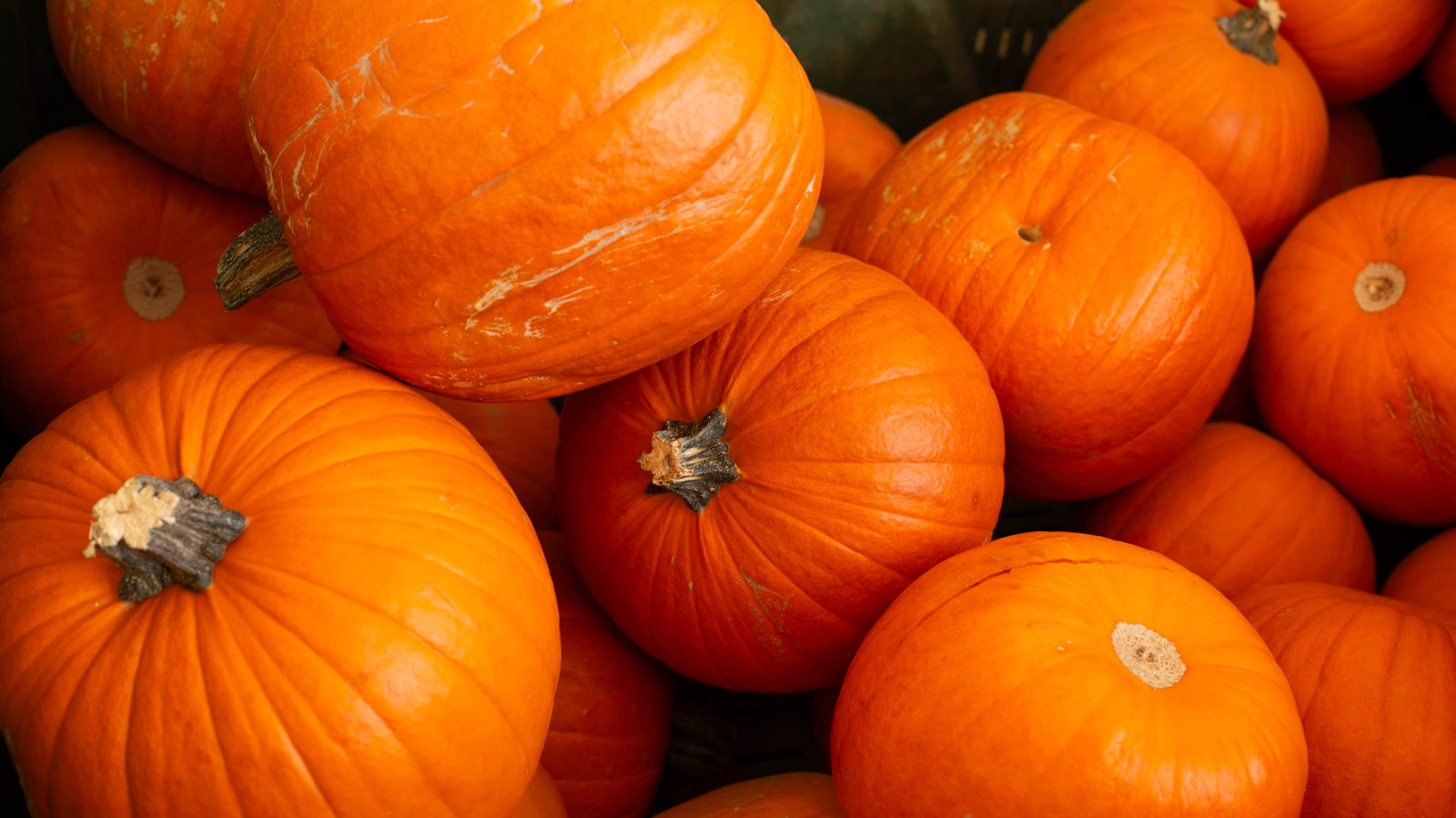 La calabaza es 10 veces más sabrosa cuando se combina con este chocolate