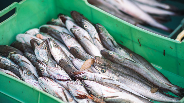 Caja de bacalao recién pescado